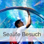 sealife2